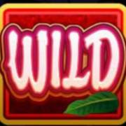 Kitty Cabana: symbol