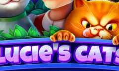 Play Lucie's Сats