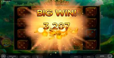 Lucky Cloverland Dice: Winnings