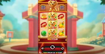 Lucky Dog: Winnings