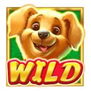 Lucky Dog: Wild