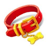 Lucky Dog: Collar