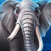 Majestic Gold Megaways: Elephant
