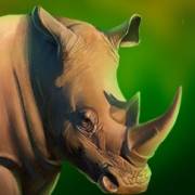 Majestic Gold Megaways: Rhinoceros