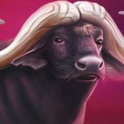 Majestic Gold Megaways: buffalo