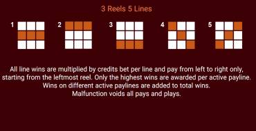 Mega 7: Rules