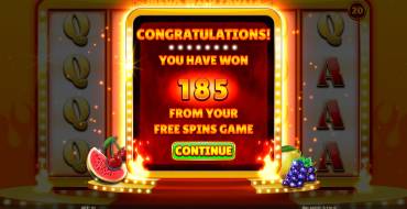Mega Wild Fruits – On Fire: Winnings