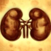 Mental: Kidneys
