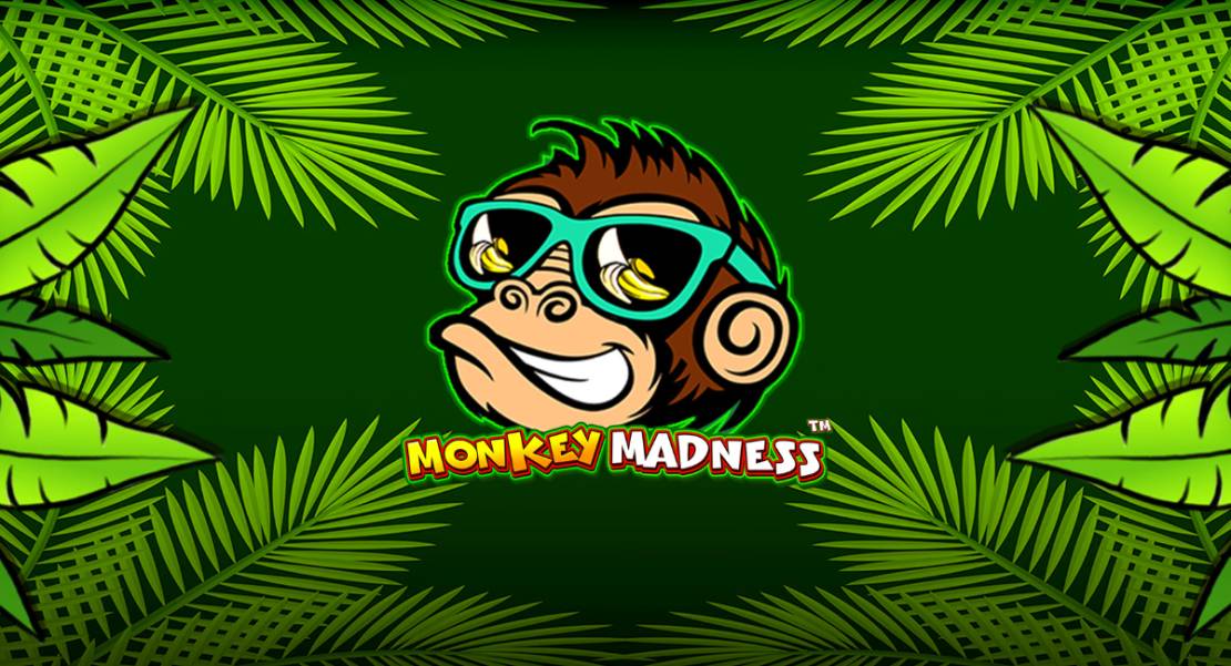 Monkey Madness
