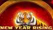 Play New Year Rising pokie NZ