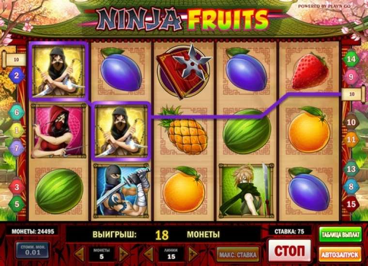 Play Ninja Fruits pokie NZ