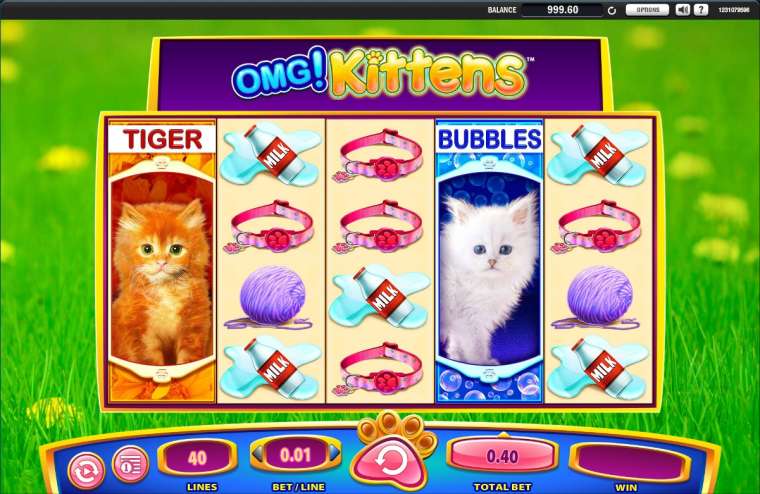 Play OMG! Kittens pokie NZ
