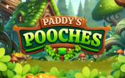 Paddy’s Pooches logo