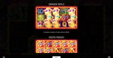 Pinata Fiesta: Features