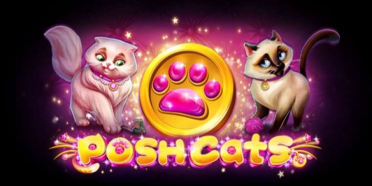 Play Posh Cats pokie NZ