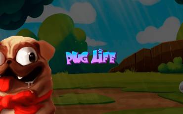 Pug Life