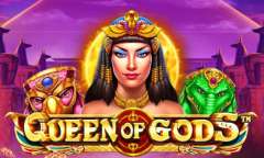 Play Queen of Gods