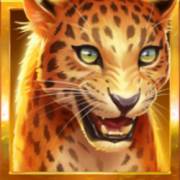 RagingPop: Leopard