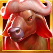 RagingPop: buffalo