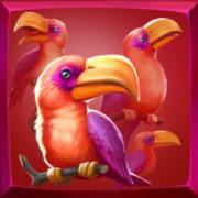 RagingPop: Pelican