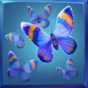 RagingPop: Butterfly
