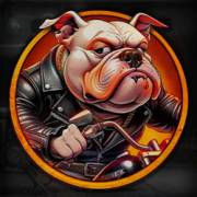 Rebel Paws: Bulldog