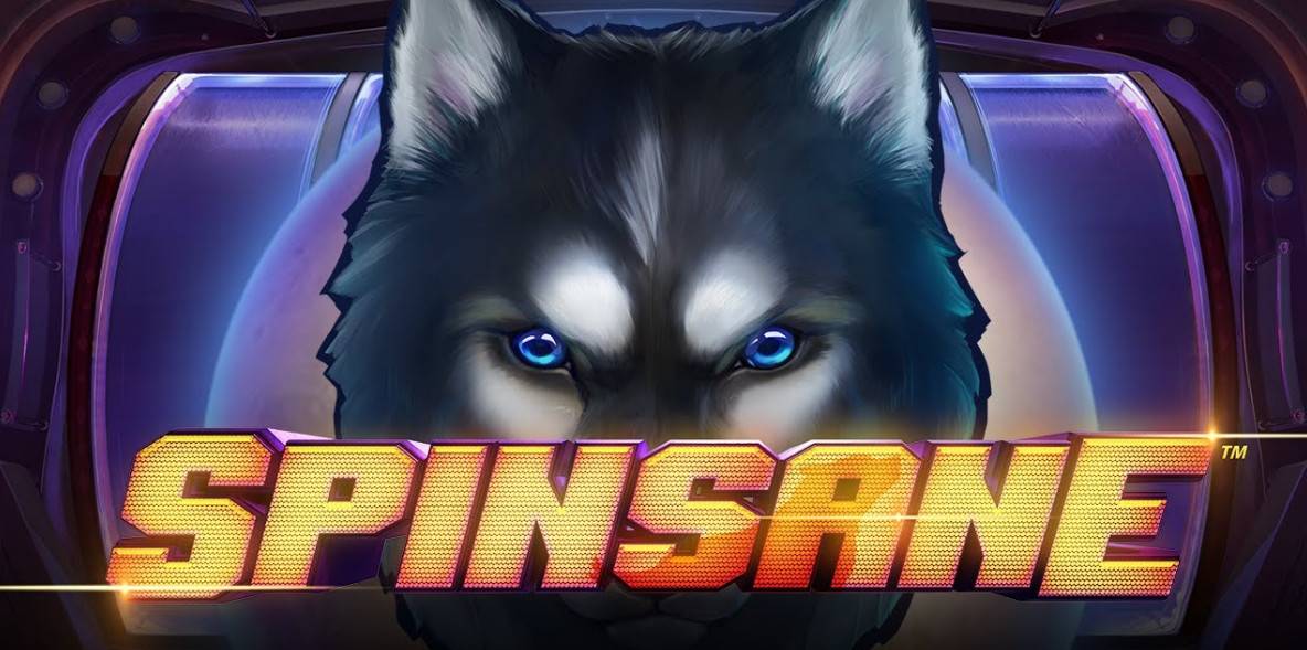 Spinsane