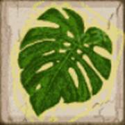 Stick 'Em: Leaf