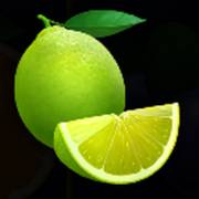 Stunning Crown 100: Lime