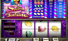 Play Sultan's Fortune