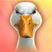 Ted Megaways: Duck