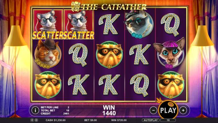 Play The Catfather pokie NZ