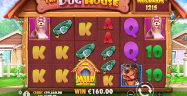 The Dog House Megaways: Winnings