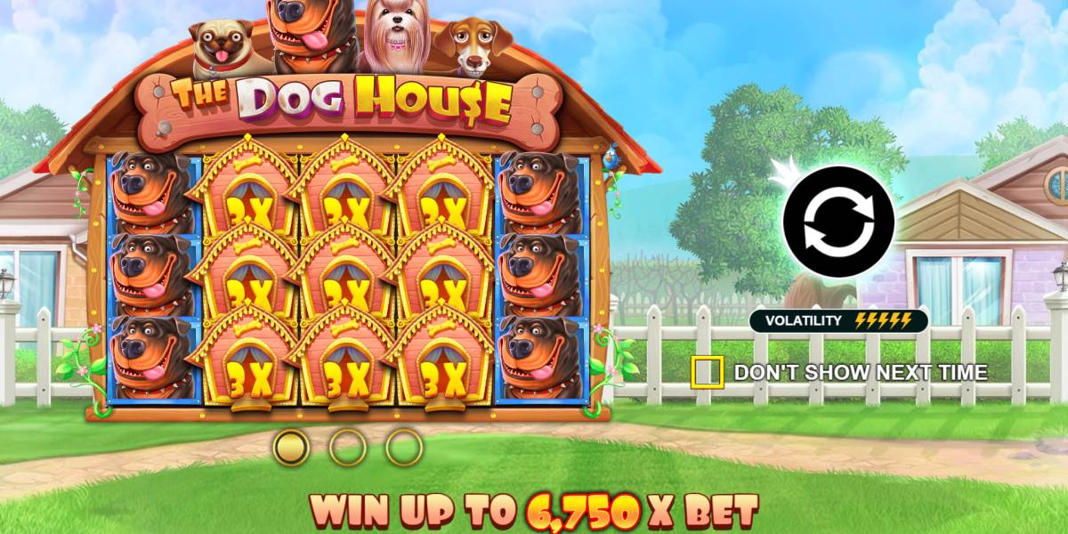 The Dog House