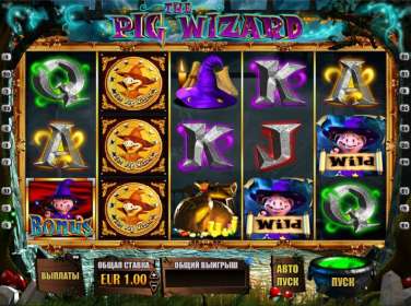 The Pig Wizard by Blueprint Gaming NZ