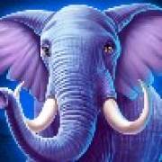 The Ultimate 5: Elephant