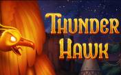 ThunderHawk logo
