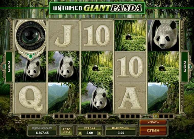 Play Untamed Giant Panda pokie NZ