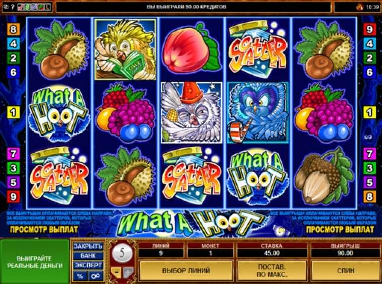Play What a Hoot pokie NZ