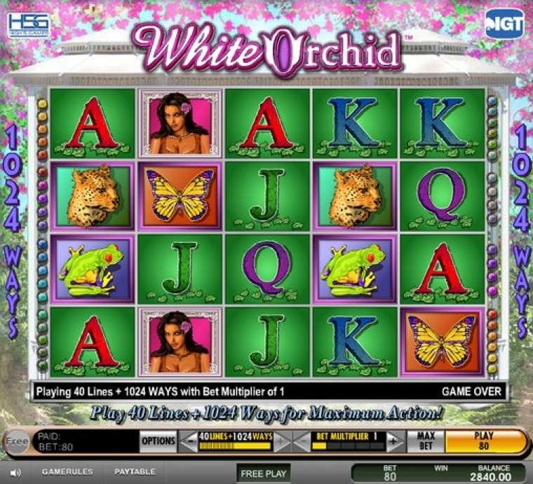 Play White Orchid pokie NZ