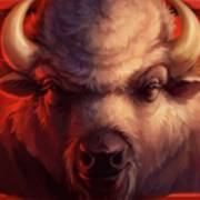 Wild Buffalo: Bison