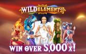 Wild Elements logo