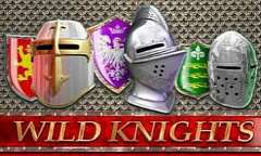 Play Wild Knights