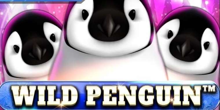 Play Wild Penguin pokie NZ