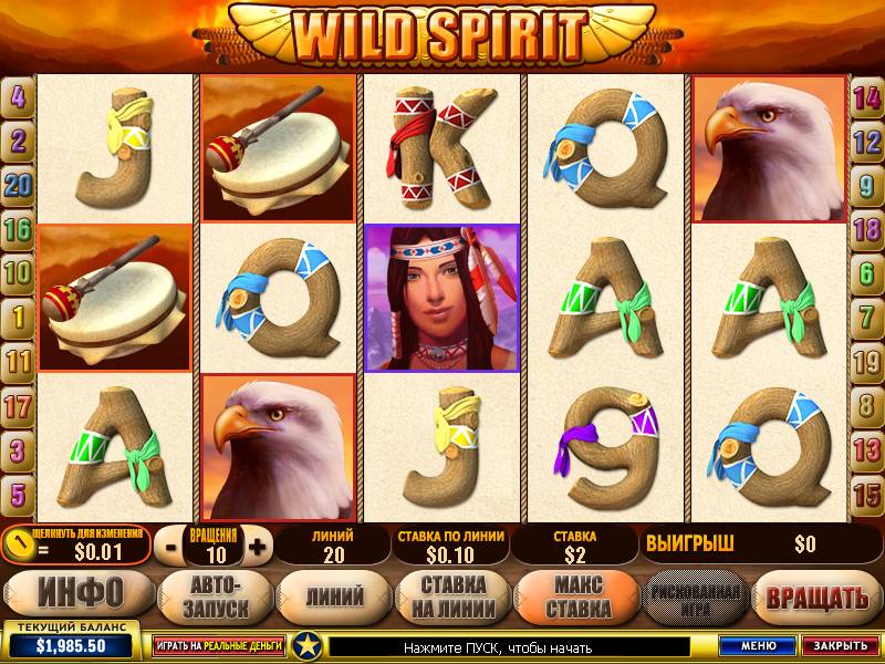 Wild Spirit