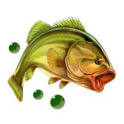 Wild Survivor: Perch