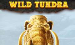 Play Wild Tundra