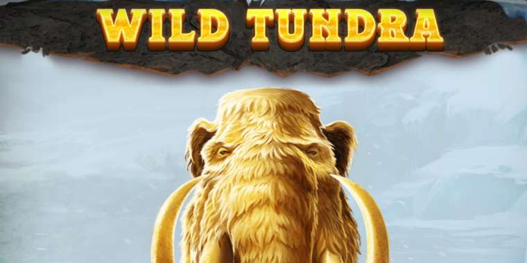 Play Wild Tundra pokie NZ