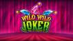 Wild Wild Joker logo