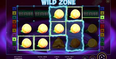 Wild Zone: Winnings